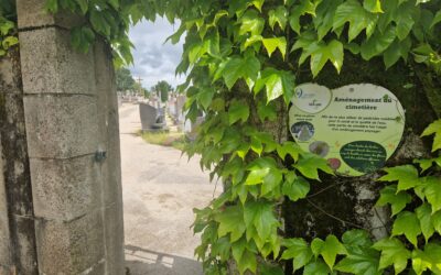 Journée citoyenne – Nettoyage du cimetière mercredi 25 mars 2026