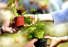 MARCHÉ NATURE – TROC DE PLANTS