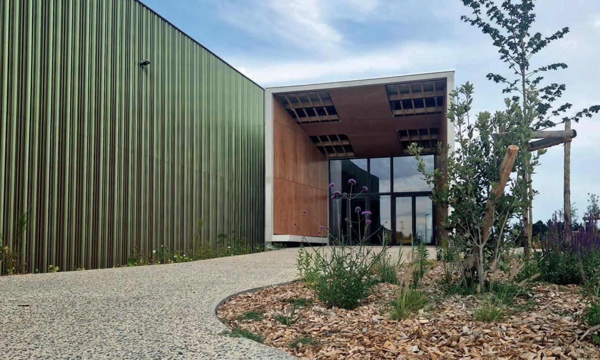 Image1