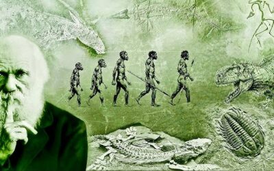 Conférence « Comprendre le vivant )) par Yves SIMARD