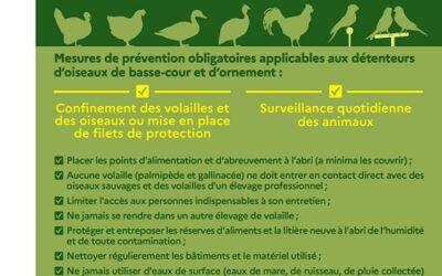 INFLUENZA AVIAIRE PROTÉGEZ VOS ÉLEVAGES ET BASSES-COURS